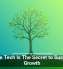 Scalable Tech Is The Secret to Sustainable Growth